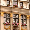 lettuceturnip > AMSTERDAM AND BRUSSELS photo