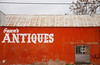 lettuceturnip > Corpus photo